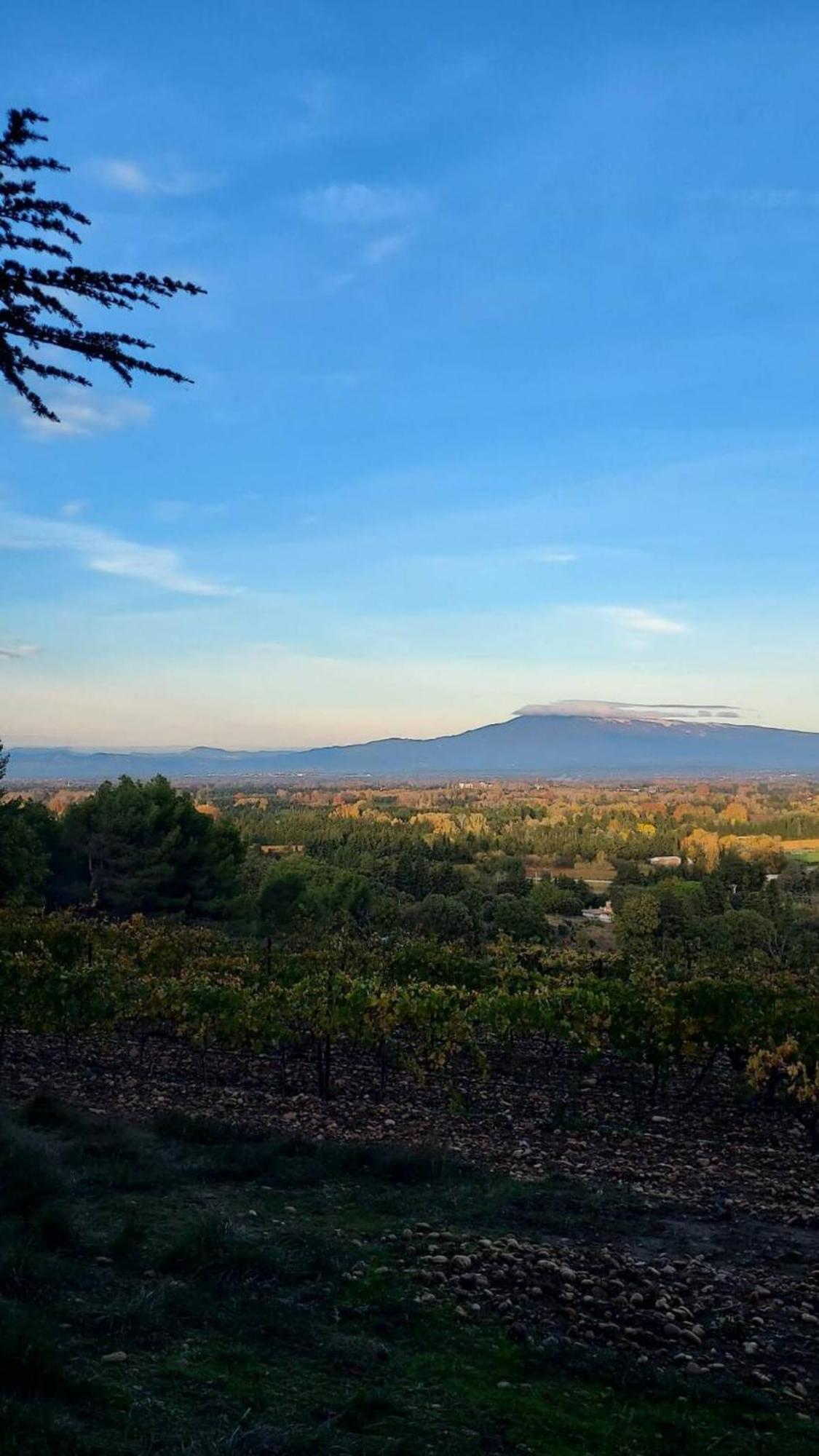 L'Appartement De L'Arche Châteauneuf-de-Gadagne Exteriér fotografie